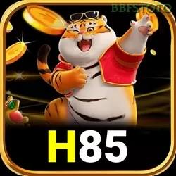 Ikon h85